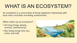 What is Ecosystem in Urdu  Hindi  Lecture no  34 [upl. by Gemini907]