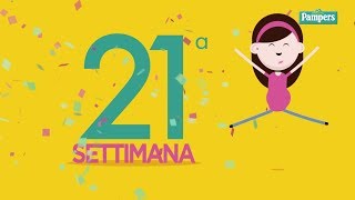 21° settimana di gravidanza [upl. by Chang774]