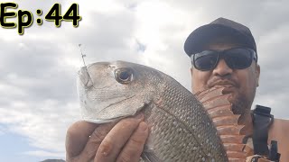 Snapper off the yak Kina from the Sea Ep 44 [upl. by Joerg103]