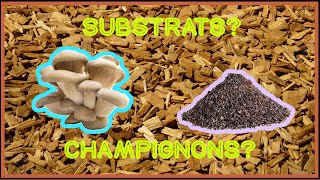 🍄Quel SUBSTRAT pour quel CHAMPIGNON [upl. by Vasquez]