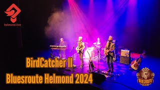 BirdCatcher II  Bluesroute Helmond 2024 [upl. by Schlosser]