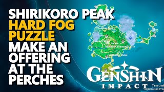 Shirikoro Peak Mist Puzzle Find Your Way through the mist Genshin Impact [upl. by Levana787]