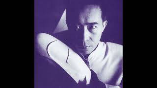 An Expert Mountain  Susumu Hirasawa Instrumental [upl. by Stead]