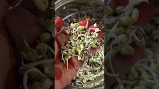 Protien Packed Moong Sproutshealthyfoodssprouts [upl. by Greggs]