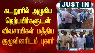 கடலூரில் அழுகிய நெற்பயிர்களுடன் விவசாயிகள் மத்திய குழுவினரிடம் புகார் [upl. by Hannover]