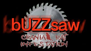 bUZZsAW Official Lyric Video [upl. by Ahdar]