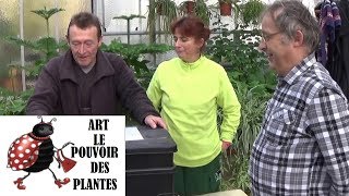 chaine de jardin Astuce recycler les déchets verts lombricomposteur 01 [upl. by Iahk]