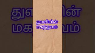 thulasi plant uses in tamilthulasi ilai uses in tamilshortsshortsfeed [upl. by Ialocin]