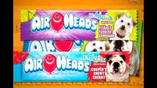 Airheads Hotel for Dogs Commercial [upl. by Annaear227]