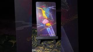 ASMR Tarot Card of the Day Pull Oriens Animal Tarot [upl. by Dopp]