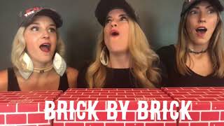 Brick by brick The Deplorable Choir [upl. by Caylor]