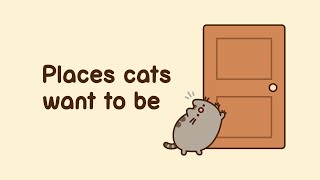 Pusheen Places Cats Want to Be [upl. by Roinuj]