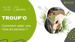 TROUPO  Comment saisir une mise en pension [upl. by Eniloj]