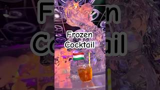 Drinking Cocktails at 1°C in Budapests Ice Bar ❄️🍸 [upl. by Amary]