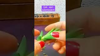 Çok aşırı sulamayalım çiçeklerdeböceklenme cute cymbiformis haworthia haworrthiabakımı [upl. by Sadye]