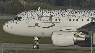 FullHD Amazing Livery VIP Airbus A319CJ takeoff at GenevaGVALSGG [upl. by Socrates]