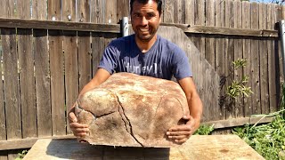 COMO HACER ROCAS FALSAS PARA DECORAR PATIOS  MAKING FAKE ROCKS [upl. by Monk]