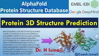 Protein 3D Structure Prediction Using AlphaFold  Results Interpretation  StepbyStep Guide [upl. by Anahsohs]