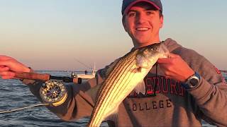 Fly Fishing Striped Bass amp Blues  Fishing LBI NJ  92918  Fish Head Charters [upl. by Egedan]