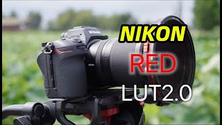 尼康NLOG可以用上RED的色彩？尼康20LUT详细测试 [upl. by Meeks]