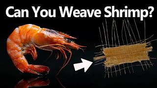 Turning SHRIMP into Fabric [upl. by Salomo]