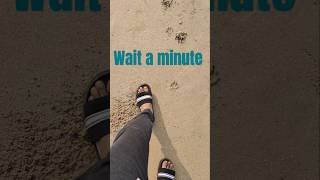 Wait a minute shortsvideo shortsviral shots shorts yt ytshorts beach beachlife goa [upl. by Raffaello]