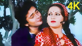 Tum Chahe Humko Pasand Na Karo 4K  Kishore Kumar Song  Rishi Kapoor Reena Roy  70s Song [upl. by Sukul]