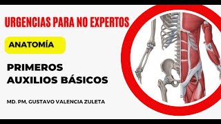 Primeros Auxilios basicos  Acciones básicas para la atención de un lesionado  ANATOMÍA [upl. by Hazelton]