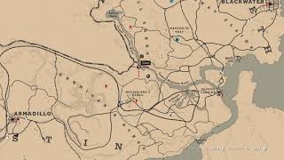 Red Dead Redemption 2 quotHennigans Stead North Treasure Mapquot [upl. by Utas]