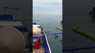 Craziest Fishing EVER Massive Billfish JawDropping Fishing Adventure [upl. by Ackler375]