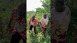 Bush play🤣🤣 shortvideo comedy comedyfilms funny trending trend fyp shorts ytshorts short [upl. by Zasuwa]