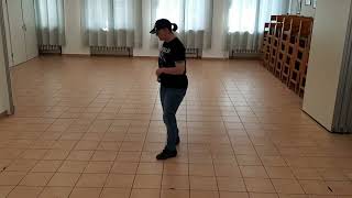 Beer For My Horses Lernvideo Teach amp Dance Line Dance Biene Teil 1 [upl. by Aicina]