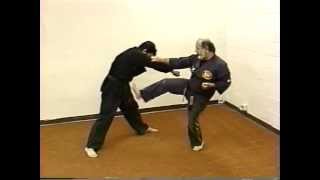 Nick Cerios Kenpo  Volume 1  Basic SelfDefense [upl. by Etteval549]