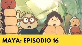 La Abeja Maya Episodio 16 La familia Tijereta [upl. by Notsua]