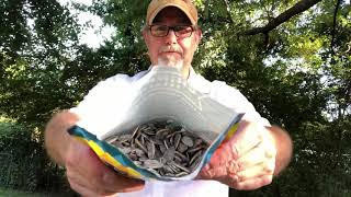 Chinook Seedery Parmesan amp Pepper Sunflower Seeds  The Beer Review Guy [upl. by Ludlew]