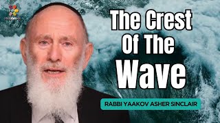 Living On The Crest Of The Wave  Parshat Noach  Rabbi Yaakov Asher Sinclair [upl. by Uela]