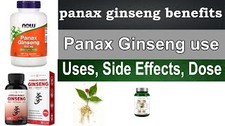 Panax Ginseng benefits for men woman  Uses Side Effects Dosage HINDI  URDU [upl. by Cleavland]