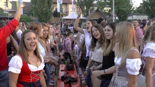 Die Partyfürsten  AltmainWeinfest Sand am Main 2018 [upl. by Hilaire734]