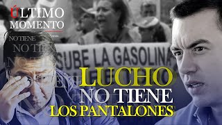 ÚltimoMomento  LUCHO NO TIENE LOS PANTALONES  19062024  CabildeoDigital [upl. by Anaic]