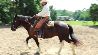 Seated vs Posting Trot and Diagonals [upl. by Feil]