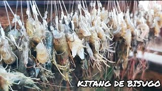 Vlog 060 Long Line Fishing  Labay  Palangre  Kitang de Bisugo sa Ivisan Capiz Part 1 of 3 [upl. by Anitnuahs]