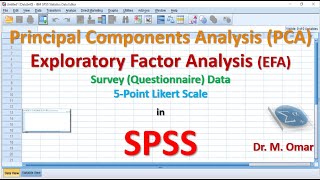 How to do Principal Components Analysis PCA and Exploratory Factor Analysis EFA in SPSS [upl. by Tnek]