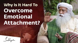 Why Is It Hard To Overcome Emotional Attachment  Sadhguru [upl. by Ehcadroj]