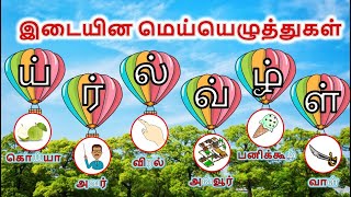 இடையின மெய்யெழுத்துகள் amp சொற்கள்  Idaiyina Mei Eluthukkal  Learn Basic Tamil Ilakkanam for kids [upl. by Ilona]