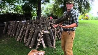 Agroforestry Cultivation of Shiitake Mushrooms [upl. by Genesa815]