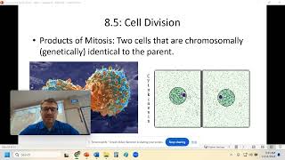 Bio  Chapter 8  Mitosis [upl. by Attenal]