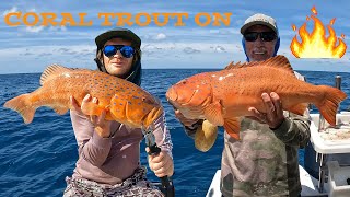 CRACKING CORAL TROUT AND GIANT GRASS SWEETLIP Team MampM Domination [upl. by Dijam]