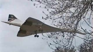 Concorde Landing  April1995  Afterburn I dont think so London Heathrow [upl. by Rolecnahc764]