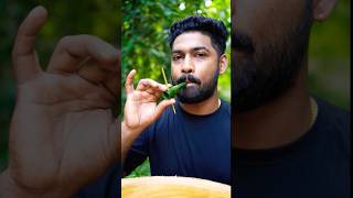 Survival skills Amazing Coconut leaf HORN🔥🥰 camping outdoors bushcraft [upl. by Seabrooke]