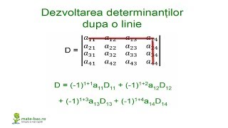 Dezvoltarea determinantilor dupa linie  Algebra cls a 11a [upl. by Eeslek]